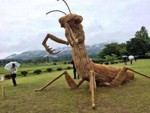 daily_picdump_1911_640_99