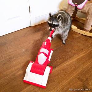 daily_picdump_1913_640_62