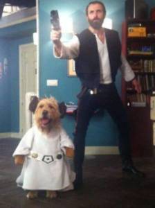 daily_picdump_1918_640_27