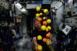 daily_picdump_1926_640_89