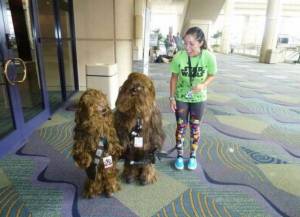 daily_picdump_1927_640_86