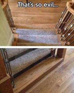 daily_picdump_1930_640_83