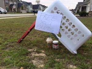 daily_picdump_1937_640_55