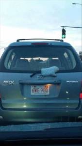 daily_picdump_1949_640_70