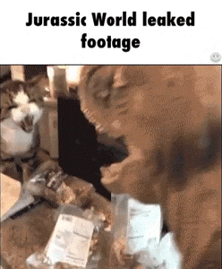 funny-gif-cat-fighting-dinosaur-toy