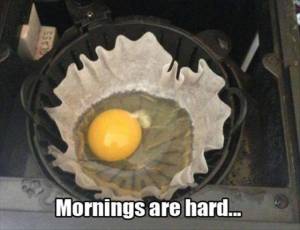 funny_picdump_1059_640_52