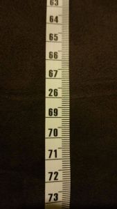 funny_picdump_979_640_38