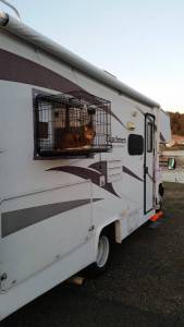 morning_picdump_715_640_45