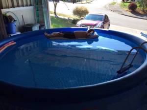 morning_picdump_783_640_15