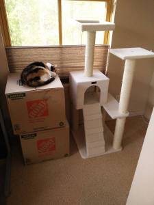 morning_picdump_795_640_04