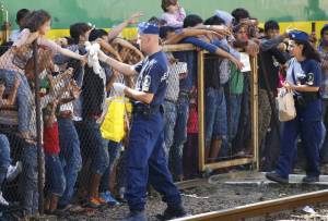 morning_picdump_816_640_36