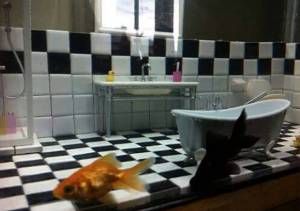 morning_picdump_827_640_30