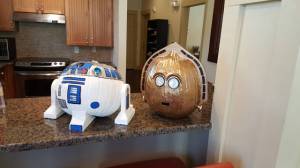 morning_picdump_836_640_11