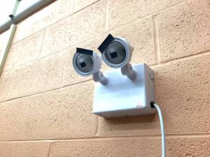 morning_picdump_836_640_27