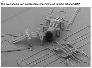 very_interesting_photo_02