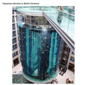 very_interesting_photos_06