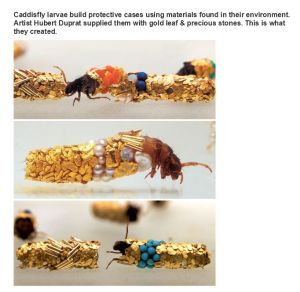 very_interesting_photos_13-6