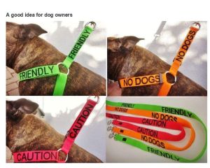 very_interesting_photos_17-3