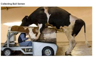 very_interesting_photos_32