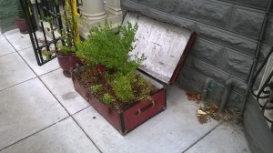 WP_20150622_09_00_12_Pro