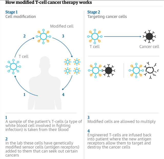 Screen Shot 2016-02-17 at 3.32.40 PM.png