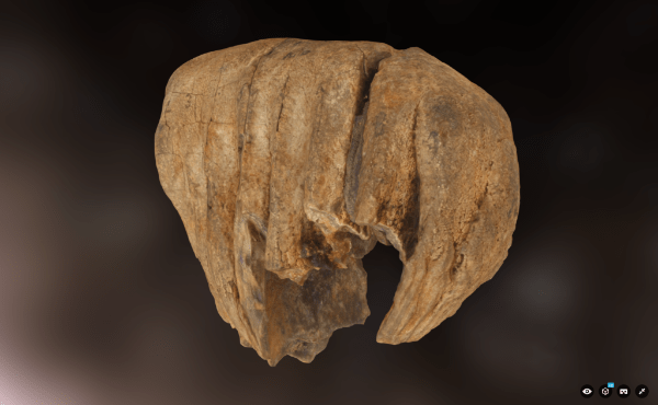 03512995-c65a-4326-88bc-e4af8dc02c0d