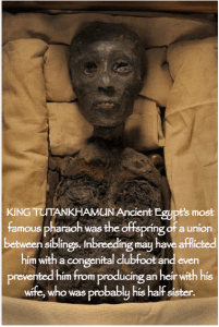 Screen Shot 2016-03-20 at 12.28.14 AM