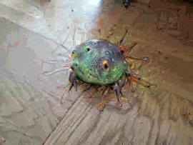 these_gifs_will_take_you_on_a_psychedelic_trip_18