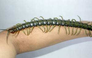 daily_picdump_2025_640_77