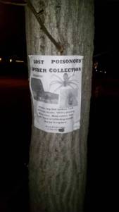 daily_picdump_2050_640_high_29 copy