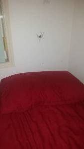 daily_picdump_2052_640_98