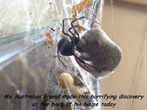 daily_picdump_2069_640_65