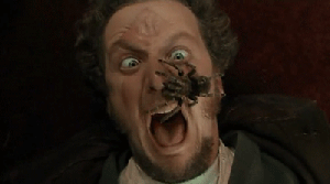 few_enticing_facts_25