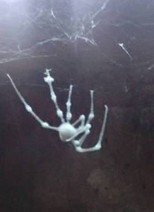 morning_picdump_896_640_01