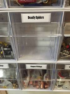 morning_picdump_902_640_34 copy