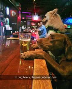 daily_picdump_2060_640_14