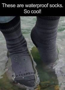 daily_picdump_2069_640_03 copy