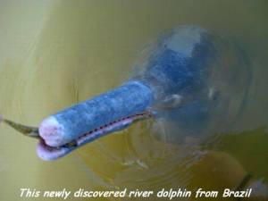 daily_picdump_2093_640_05