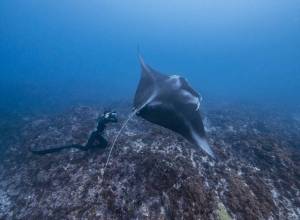 daily_picdump_2094_640_34