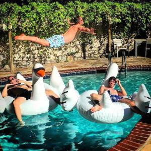 daily_picdump_2095_640_86