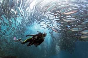 daily_picdump_2097_640_27