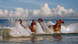 daily_picdump_2097_640_41