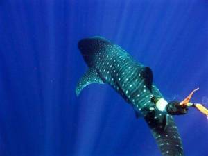 daily_picdump_2102_640_106