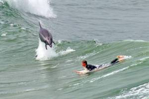 daily_picdump_2102_640_84