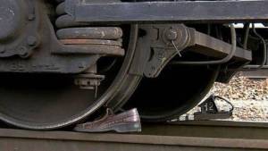 funny_picdump_1123_640_48