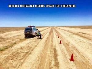 morning_picdump_853_640_32