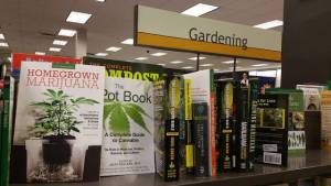 morning_picdump_866_640_22