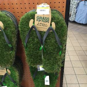 morning_picdump_938_640_05