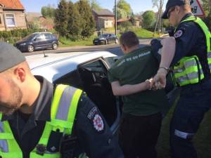 morning_picdump_947_640_44