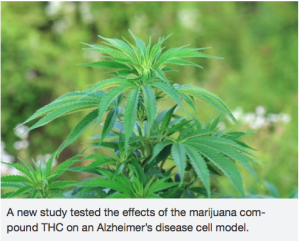 Screen Shot 2016-06-30 at 1.48.27 AM